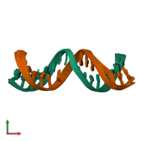 PDB entry 1ir5 coloured by chain, ensemble of 20 models, front view.