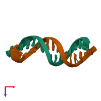 PDB entry 1ir5 coloured by chain, ensemble of 20 models, top view.