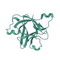 The deposited structure of PDB entry 1ira contains 1 copy of SCOP domain 50362 (Interleukin-1 (IL-1)) in Interleukin-1 receptor antagonist protein. Showing 1 copy in chain A [auth X].