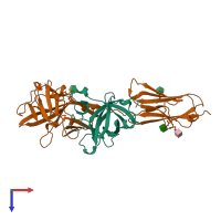 PDB entry 1ira coloured by chain, top view.
