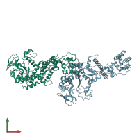 PDB entry 1irx coloured by chain, front view.