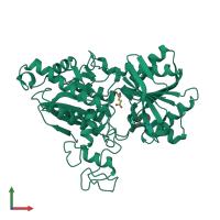 PDB entry 1isr coloured by chain, front view.