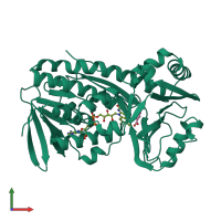 PDB entry 1iut coloured by chain, front view.