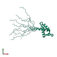 PDB entry 1iuy coloured by chain, ensemble of 10 models, front view.