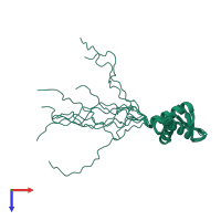 PDB entry 1iuy coloured by chain, ensemble of 10 models, top view.