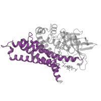 The deposited structure of PDB entry 1ivh contains 4 copies of Pfam domain PF00441 (Acyl-CoA dehydrogenase, C-terminal domain) in Isovaleryl-CoA dehydrogenase, mitochondrial. Showing 1 copy in chain A.