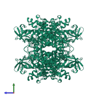 Isovaleryl-CoA dehydrogenase, mitochondrial in PDB entry 1ivh, assembly 1, side view.