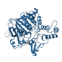The deposited structure of PDB entry 1ivy contains 2 copies of Pfam domain PF00450 (Serine carboxypeptidase) in Lysosomal protective protein. Showing 1 copy in chain A.