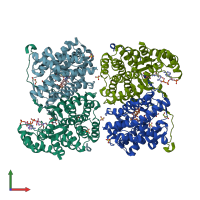 PDB entry 1ixe coloured by chain, front view.