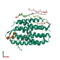 PDB entry 1ixf coloured by chain, front view.