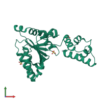 PDB entry 1ixz coloured by chain, front view.