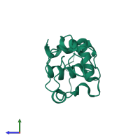 Lysozyme C in PDB entry 1iy4, assembly 1, side view.