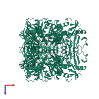 Branched-chain-amino-acid aminotransferase in PDB entry 1iyd, assembly 1, top view.