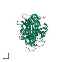 Beta-lactamase Toho-1 in PDB entry 1iyq, assembly 1, side view.