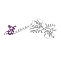 The deposited structure of PDB entry 1iz1 contains 4 copies of Pfam domain PF00126 (Bacterial regulatory helix-turn-helix protein, lysR family) in HTH lysR-type domain-containing protein. Showing 1 copy in chain B.