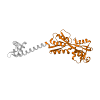 The deposited structure of PDB entry 1iz1 contains 4 copies of Pfam domain PF03466 (LysR substrate binding domain) in HTH lysR-type domain-containing protein. Showing 1 copy in chain B.