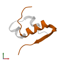 Insulin B chain in PDB entry 1izb, assembly 1, front view.