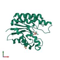 3D model of 1j00 from PDBe