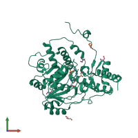 PDB entry 1j04 coloured by chain, front view.