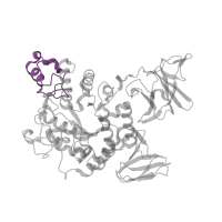 The deposited structure of PDB entry 1j0h contains 2 copies of CATH domain 3.90.400.10 (Oligo-1,6-glucosidase; domain 2) in Neopullulanase. Showing 1 copy in chain A.