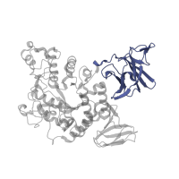 The deposited structure of PDB entry 1j0h contains 2 copies of SCOP domain 81282 (E-set domains of sugar-utilizing enzymes) in Neopullulanase. Showing 1 copy in chain A.