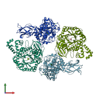 PDB entry 1j0y coloured by chain, front view.