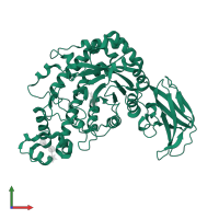 Beta-amylase in PDB entry 1j10, assembly 3, front view.