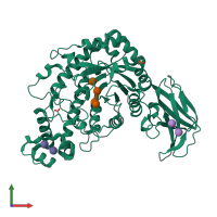 PDB entry 1j18 coloured by chain, front view.