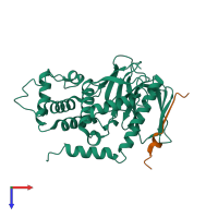 PDB entry 1j19 coloured by chain, top view.