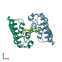 PDB entry 1j1a coloured by chain, front view.