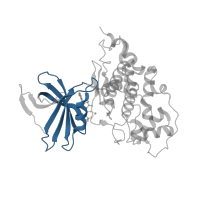 The deposited structure of PDB entry 1j1c contains 2 copies of CATH domain 3.30.200.20 (Phosphorylase Kinase; domain 1) in Glycogen synthase kinase-3 beta. Showing 1 copy in chain B.