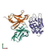 PDB entry 1j1p coloured by chain, front view.