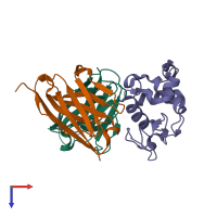 PDB entry 1j1p coloured by chain, top view.