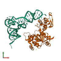 PDB entry 1j1u coloured by chain, front view.