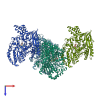 PDB entry 1j1w coloured by chain, top view.