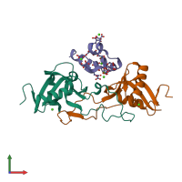 PDB entry 1j35 coloured by chain, front view.