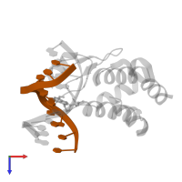 5'-D(*TP*TP*GP*GP*AP*GP*CP*CP*TP*T)-3' in PDB entry 1j3e, assembly 1, top view.