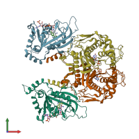 PDB entry 1j3j coloured by chain, front view.