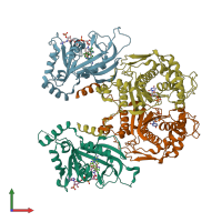 PDB entry 1j3k coloured by chain, front view.