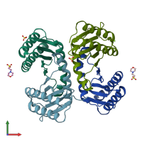 PDB entry 1j3w coloured by chain, front view.