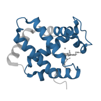 The deposited structure of PDB entry 1j3y contains 4 copies of Pfam domain PF00042 (Globin) in Hemoglobin subunit alpha. Showing 1 copy in chain A.