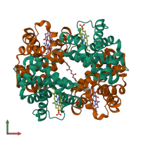 Hetero tetrameric assembly 1 of PDB entry 1j41 coloured by chemically distinct molecules, front view.