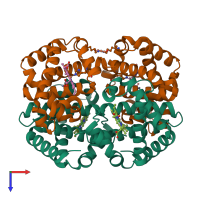 Hetero tetrameric assembly 1 of PDB entry 1j41 coloured by chemically distinct molecules, top view.