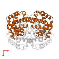 Hemoglobin subunit beta in PDB entry 1j41, assembly 1, top view.