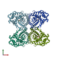 PDB entry 1j4e coloured by chain, front view.