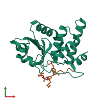 PDB entry 1j4x coloured by chain, front view.