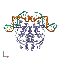 Hetero hexameric assembly 1 of PDB entry 1j59 coloured by chemically distinct molecules, front view.