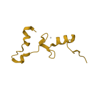 The deposited structure of PDB entry 1j5e contains 1 copy of CATH domain 4.10.830.10 (30s Ribosomal Protein S14; Chain N) in Small ribosomal subunit protein uS14. Showing 1 copy in chain N.