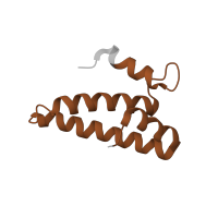 The deposited structure of PDB entry 1j5e contains 1 copy of Pfam domain PF00312 (Ribosomal protein S15) in Small ribosomal subunit protein uS15. Showing 1 copy in chain O.