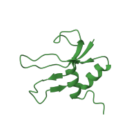 The deposited structure of PDB entry 1j5e contains 1 copy of SCOP domain 54566 (Ribosomal protein S16) in Small ribosomal subunit protein bS16. Showing 1 copy in chain P.
